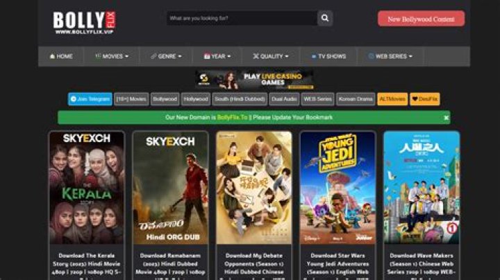 Bollyflix.ninja: Your Ultimate Guide to Bollywood Movies and Series