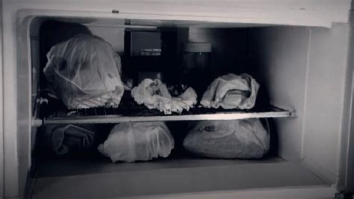 Exploring the Haunting Legacy of Dee Blanchard's Crime Scene Photos