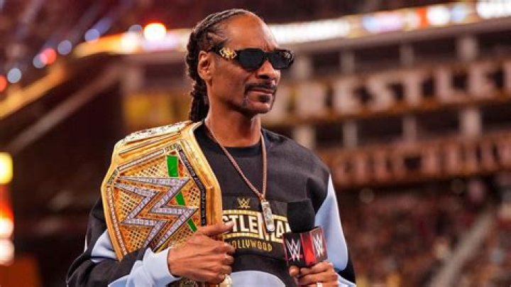 Snoop Dogg's Criminal Record: A Deep Dive into His Legal Troubles and Their Impact on His Career