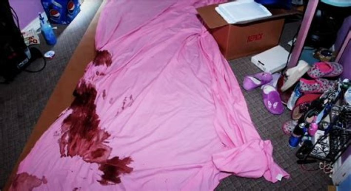 Unveiling the Mystery: Where to See the Gypsy Rose Crime Scene Photos