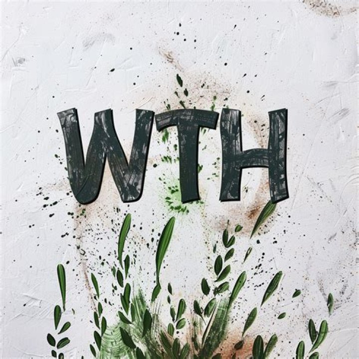 What Does WTH Mean? Understanding Its Origins, Usage, and Cultural Impact